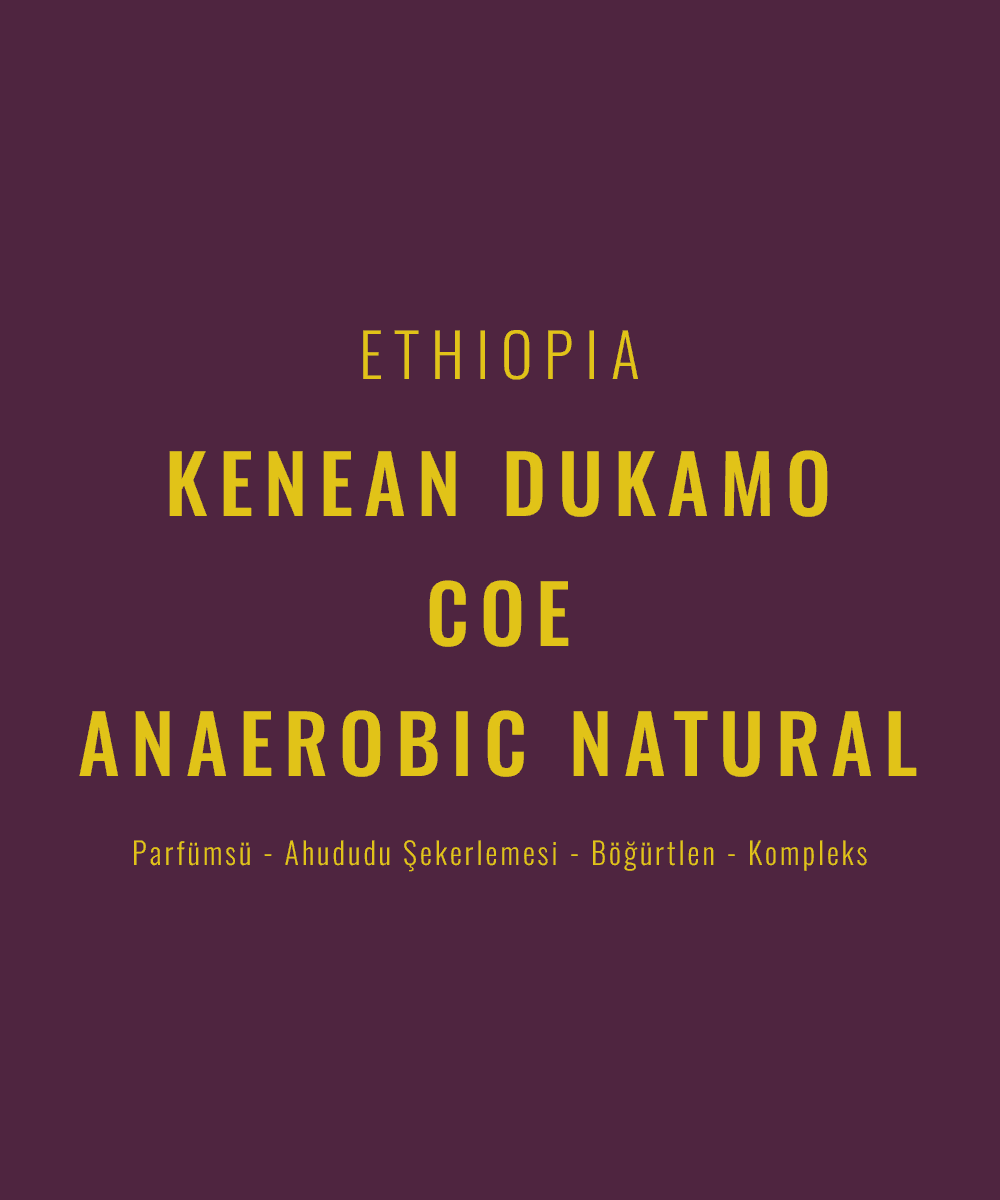 Image of Ethiopia - Kenean Dukamo COE Natural Anaerobic