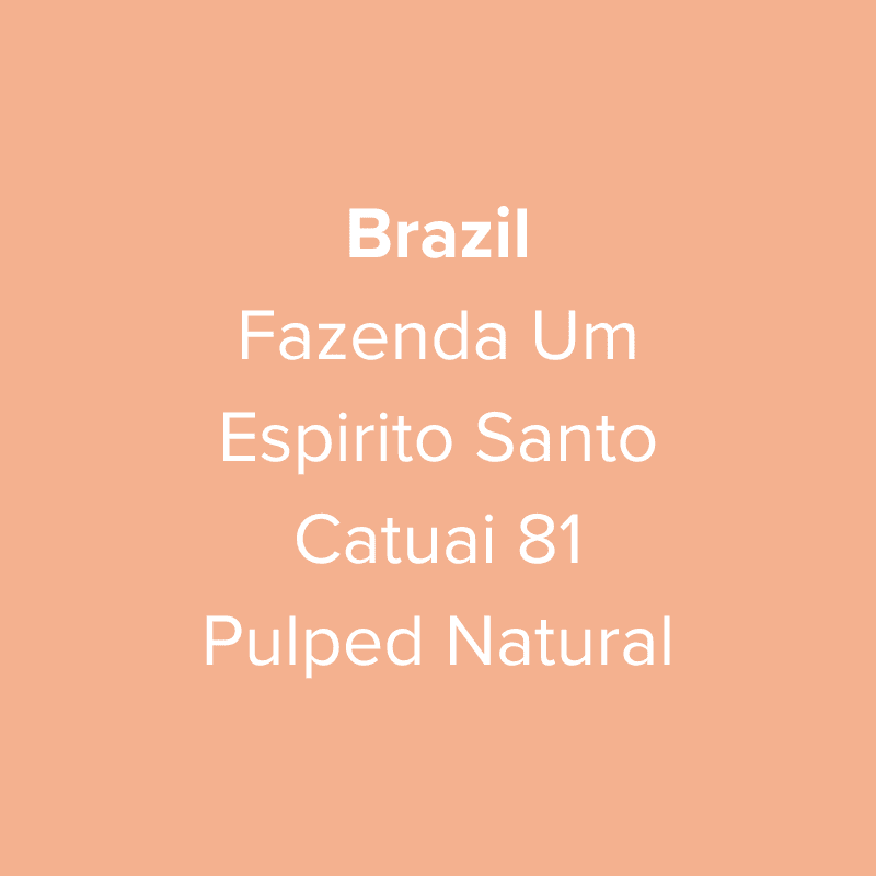 Image of Brazil Fazenda Um Espirito Santo Catuai 81 Pulped Natural