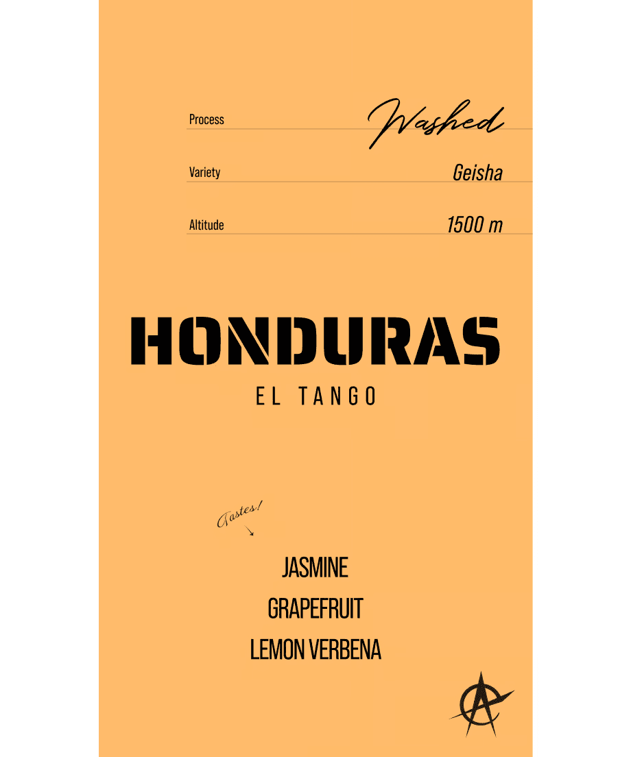 Image of Honduras El Tango, Geisha - Washed