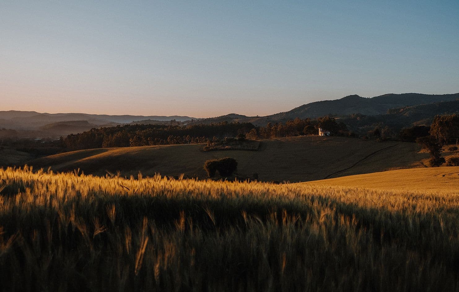 Image of Fazenda Santa Ines