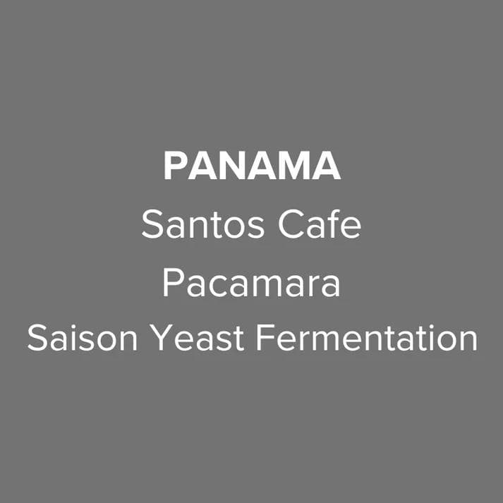 Image of Panama Santos Cafe Pacamara Saison Yeast Fermentation