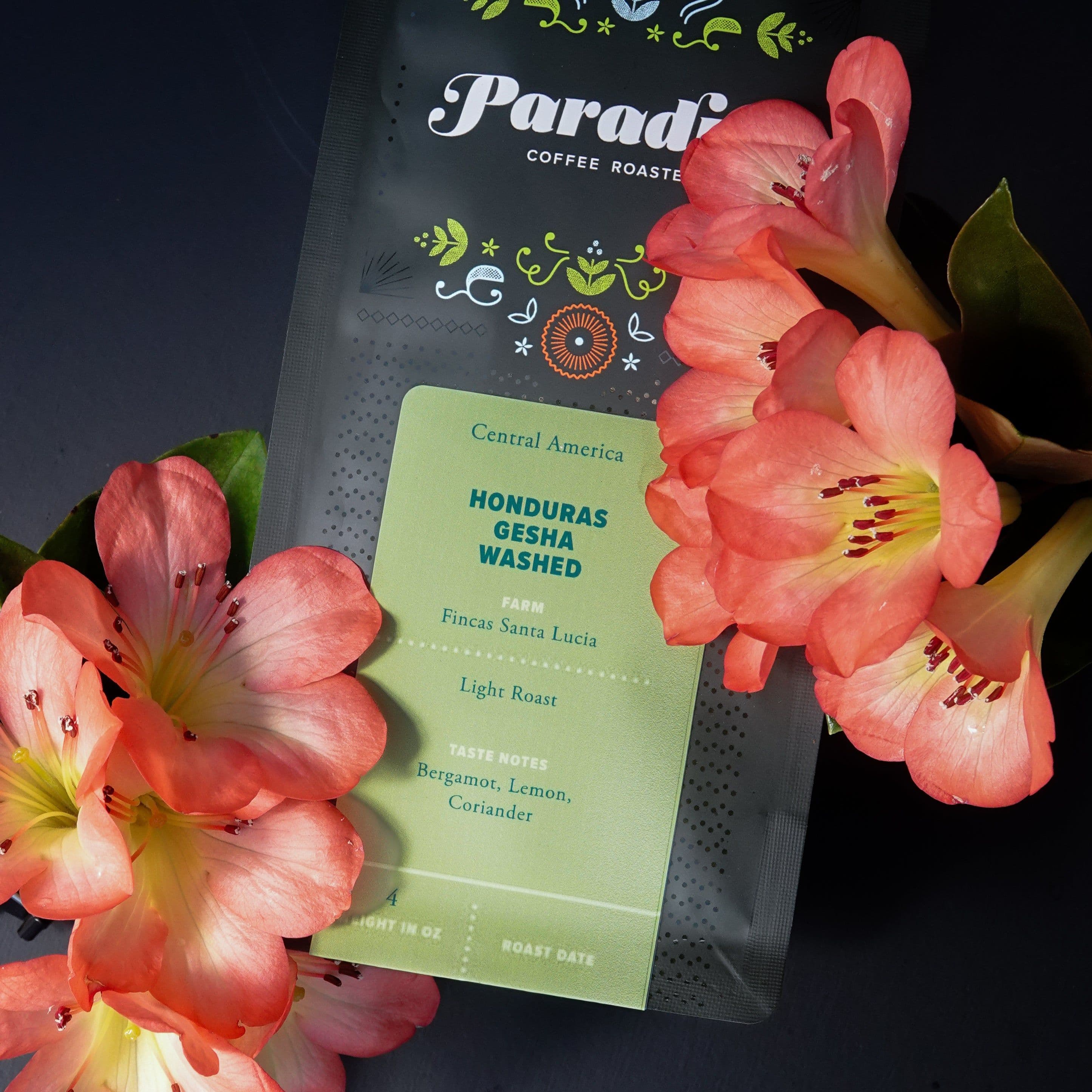 Image of Honduras Santa Lucia Gesha