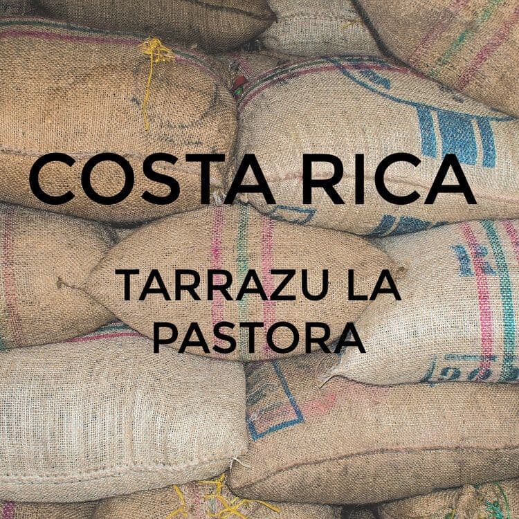Image of Costa Rica SHB Tarrazu La Pastora