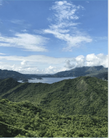 Image of Colombia - Juan Camilo - Camionetta Anoxic Natural