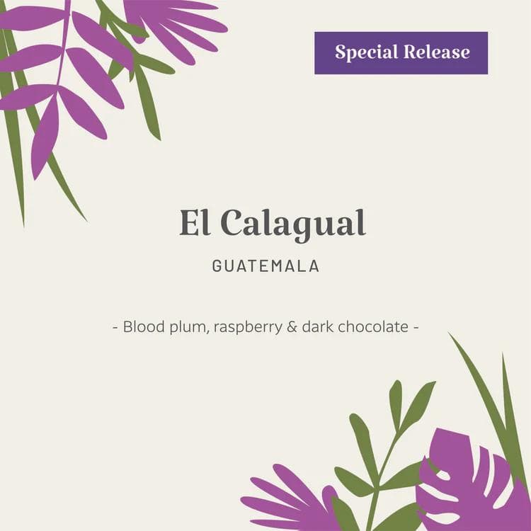 Image of Guatemala | El Calagual