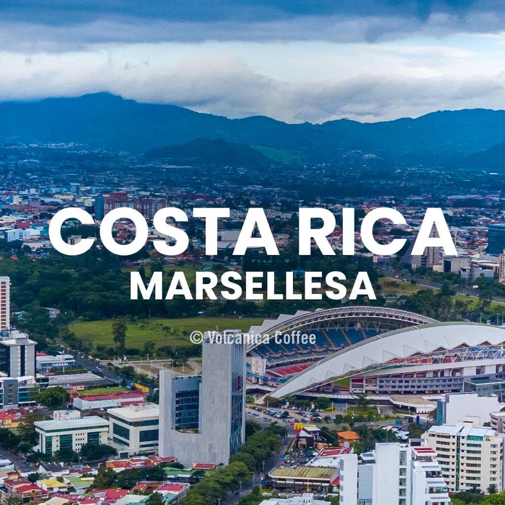 Image of Costa Rica Marsellesa Coffee