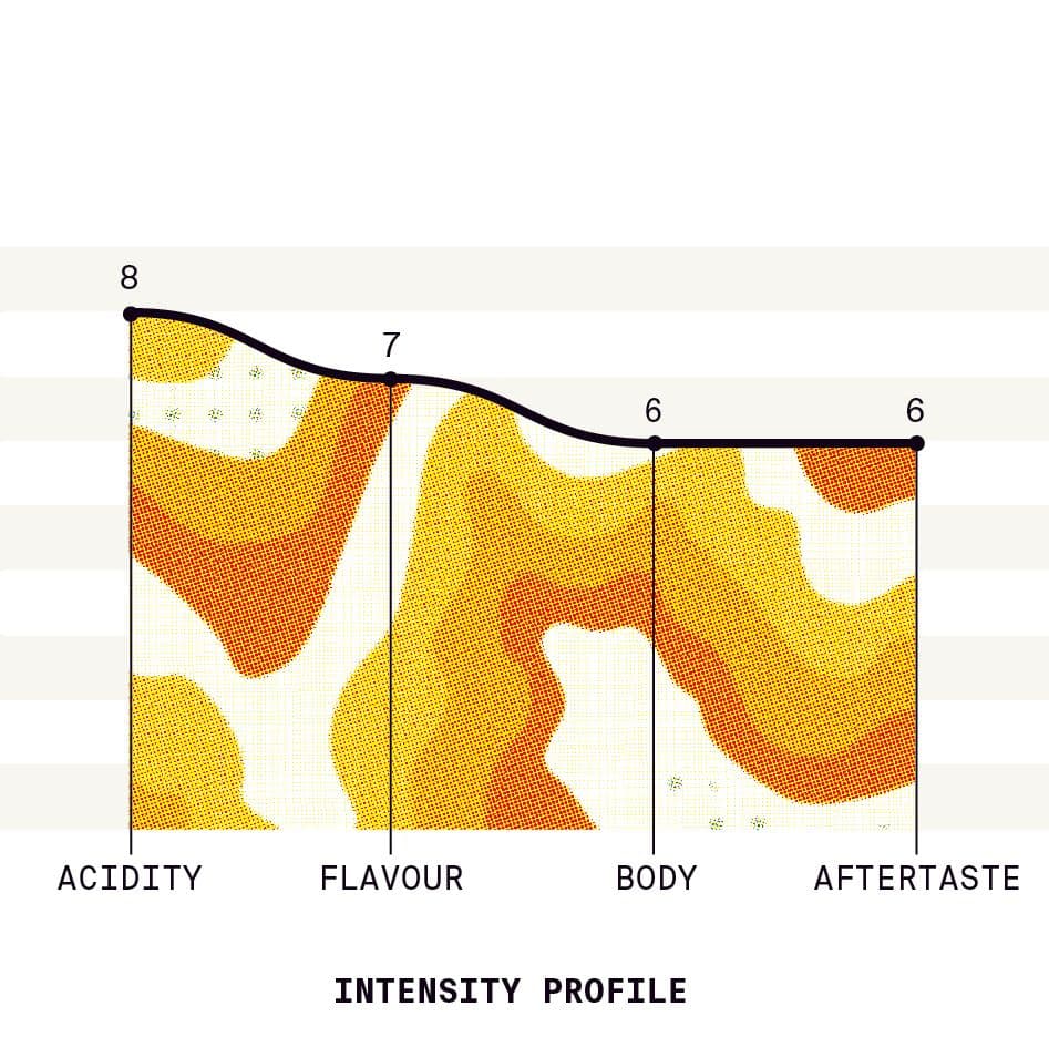 Image of Colombia Ivanov Castellanos Gesha Honey
