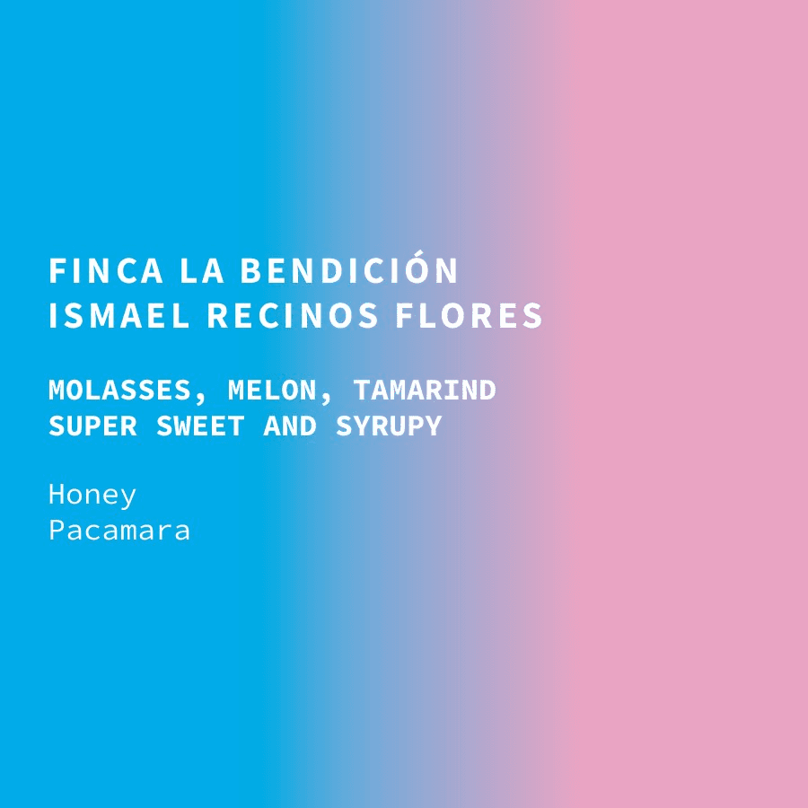 Image of El Salvador Cup of Excellence 1