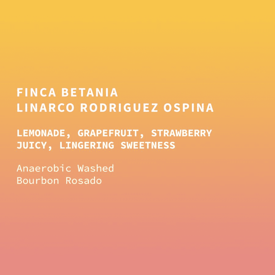 Image of Colombia Linarco Rodriguez