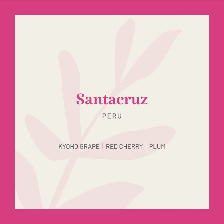 Image of Peru Santacruz