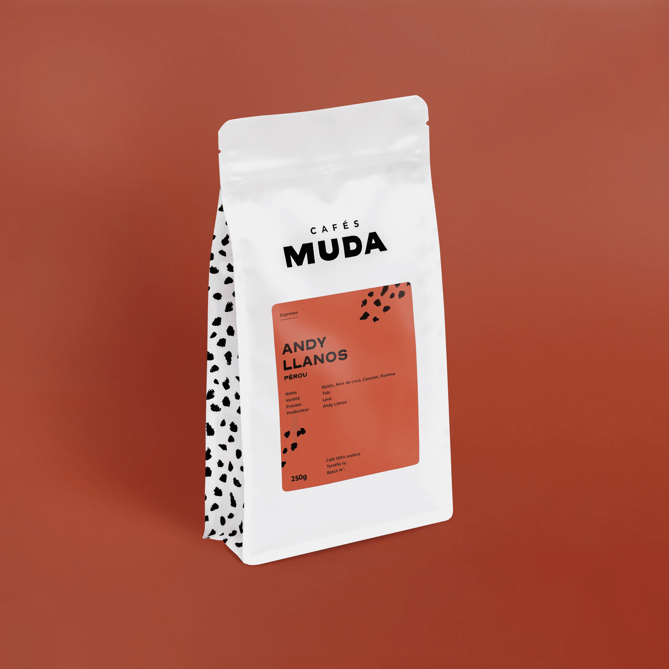 Image of Andy Llanos