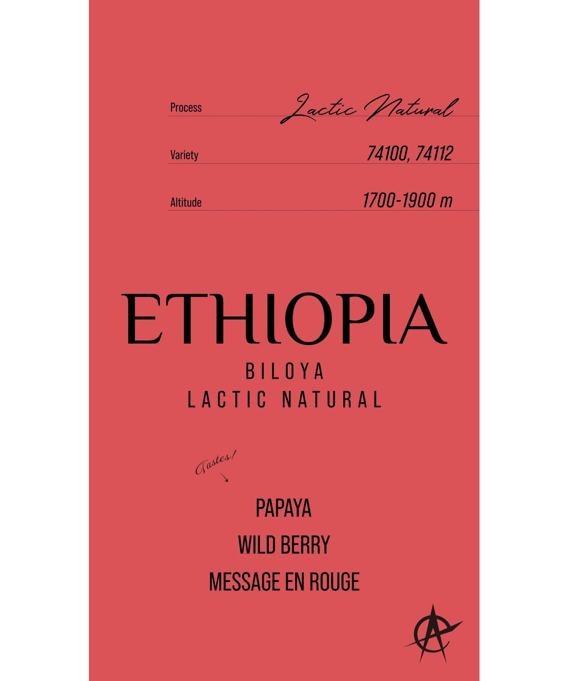 Image of Ethiopia Biloya 74100 74112 - Lactic Natural