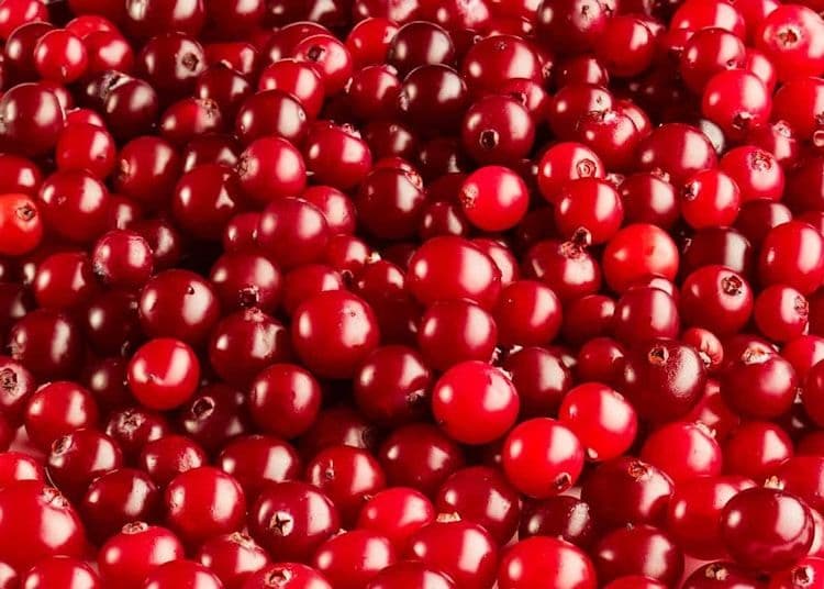 Image of Cocoa Nibs Cranberry