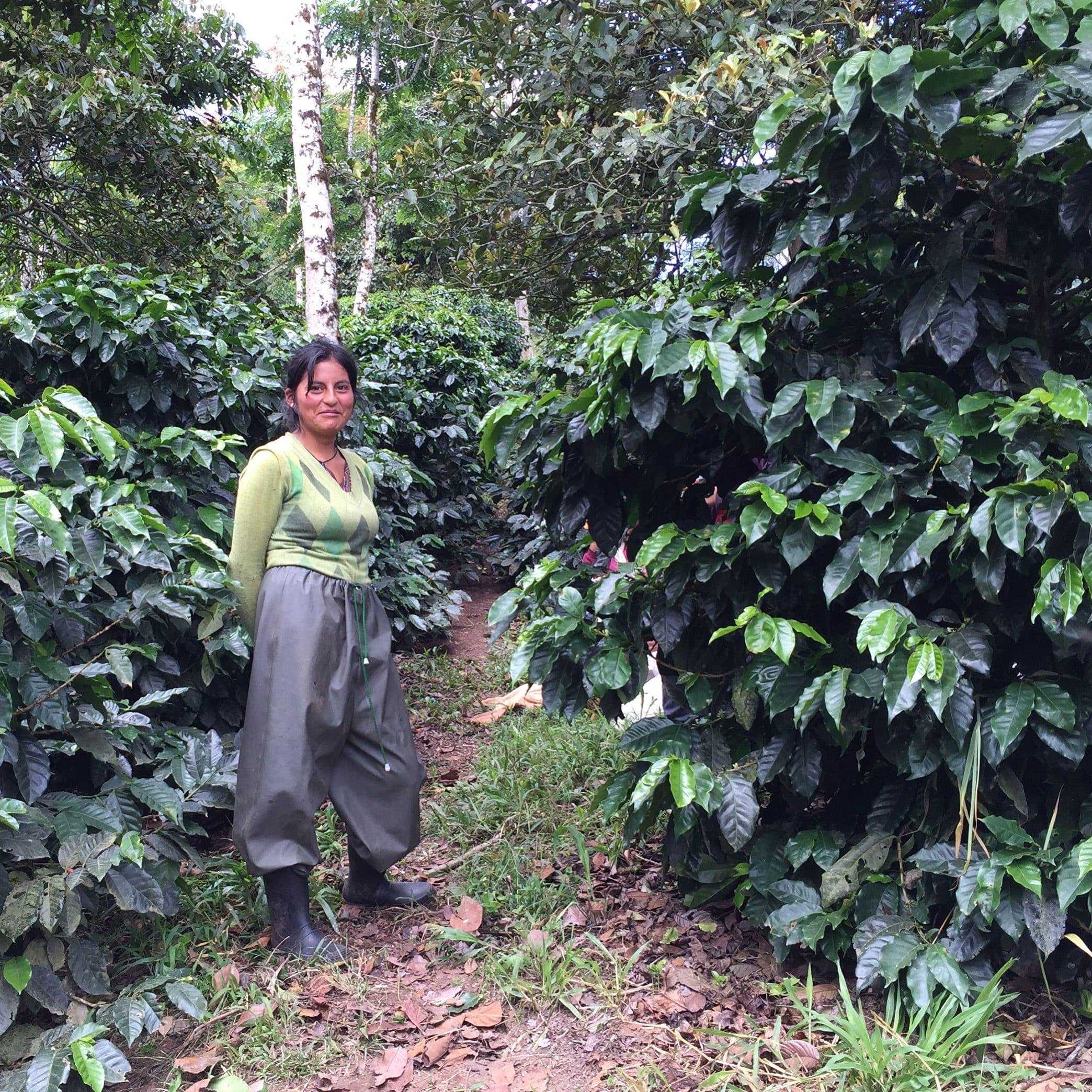 Image of Ecuador Hakuna Matata