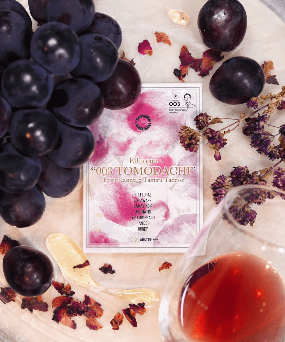 Image of Sky Project -Friend Tomodachi