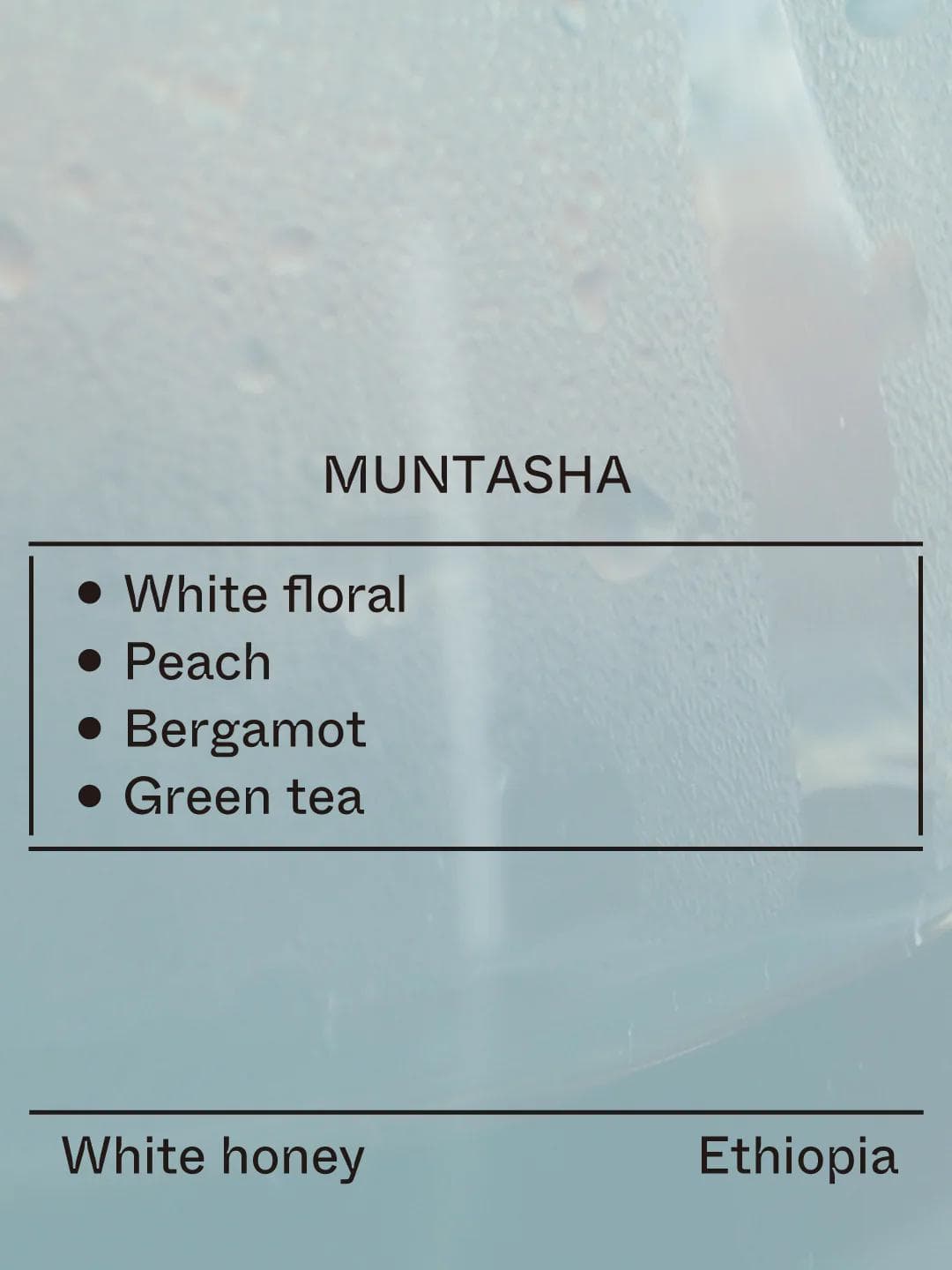 Image of Muntasha