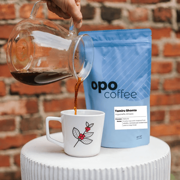 Image of Ethiopia  Tamiru Shonto