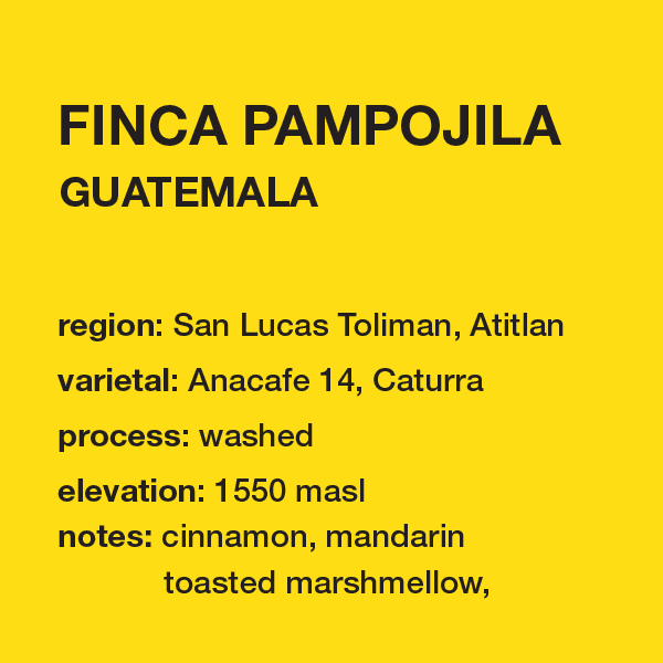 Image of New Guatemala Finca Pampojila