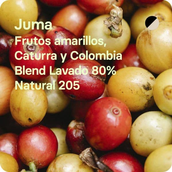 Image of Juma - Blend
