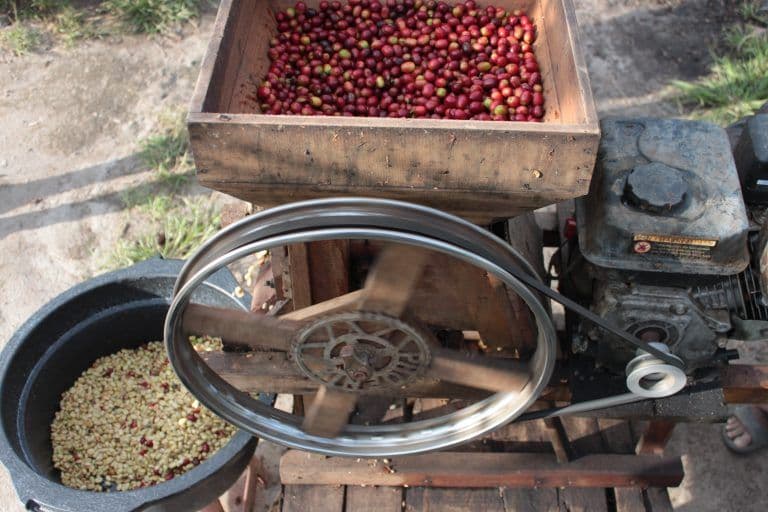 Image of Indonesia Sesongot