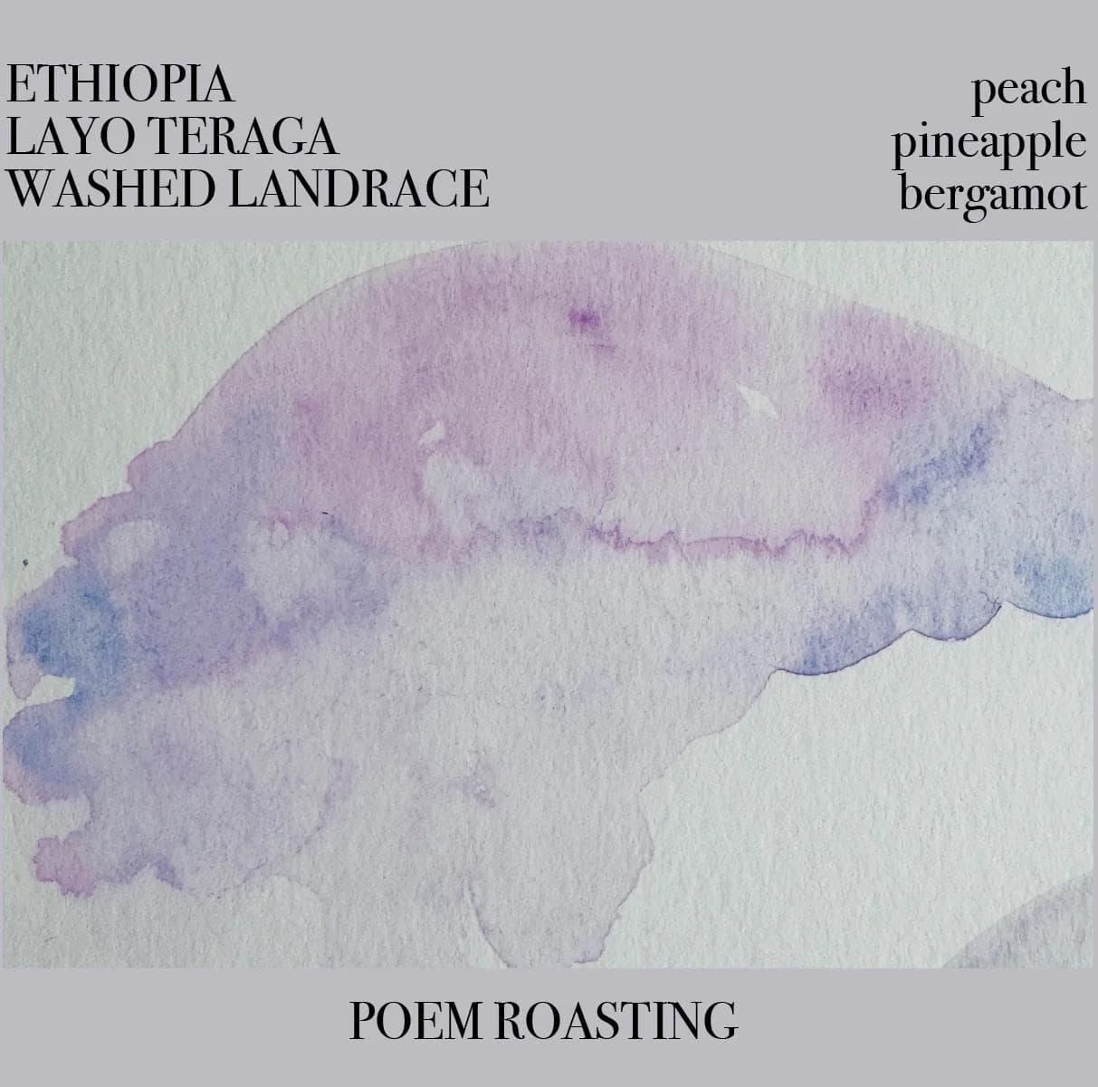 Image of Ethiopia Layo Teraga