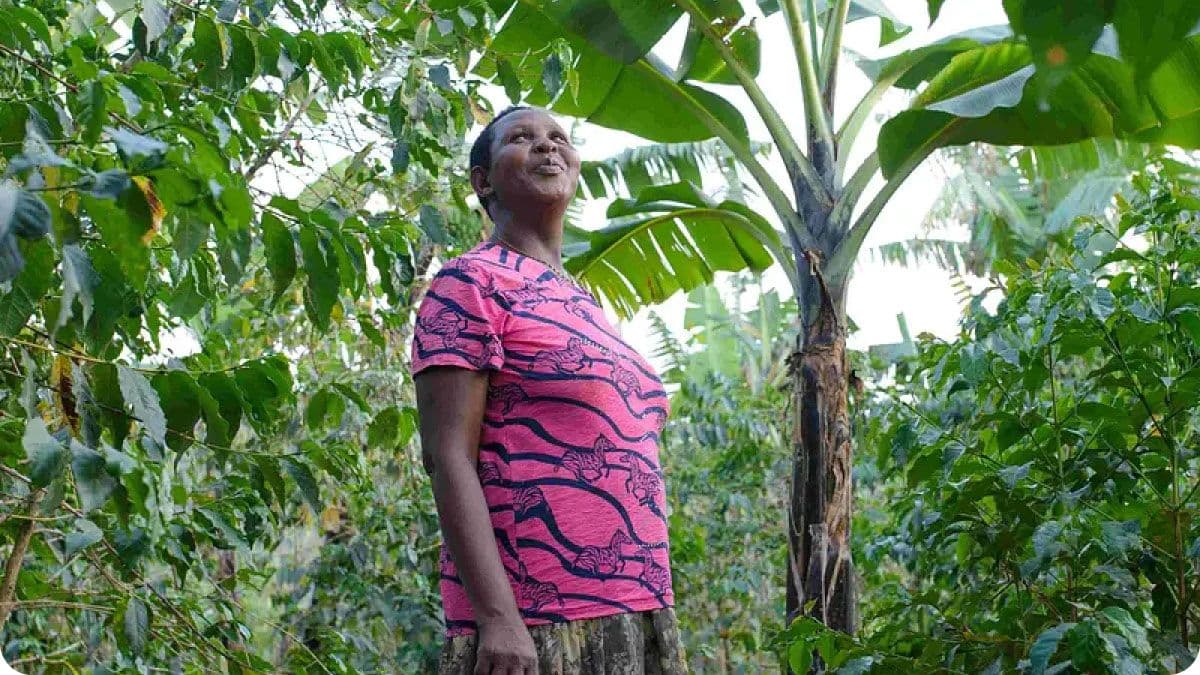 Image of Uganda Mt Elgon Mother's Microlot