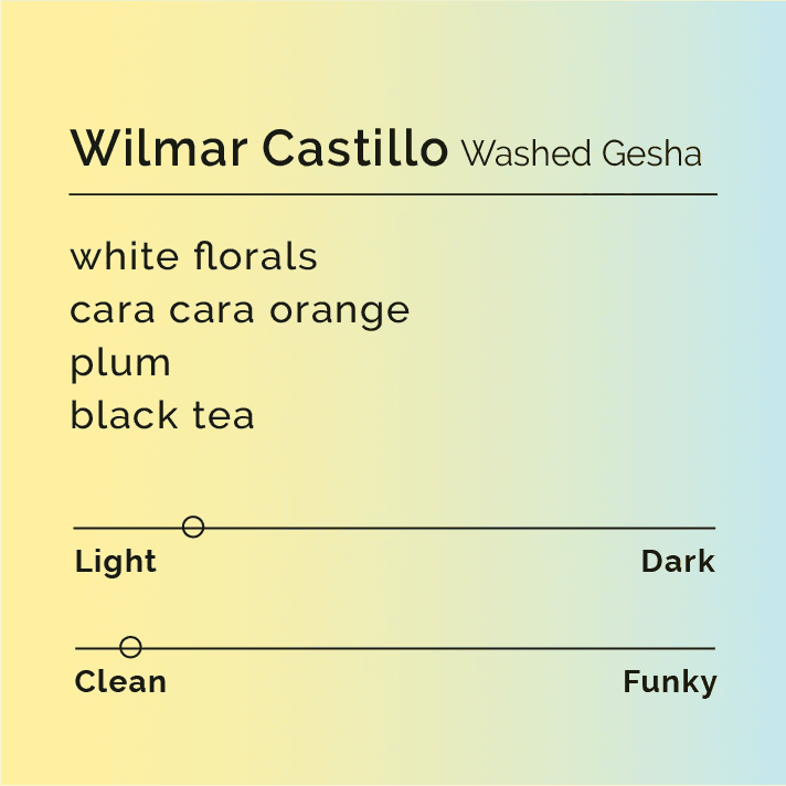 Image of Wilmar Castillo - Washed Gesha