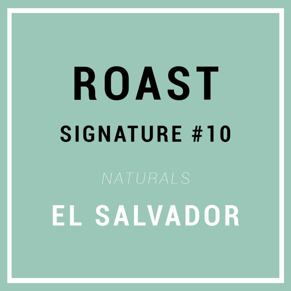 Image of Signature Roast 10 -Specialty Bonner - El Salvador