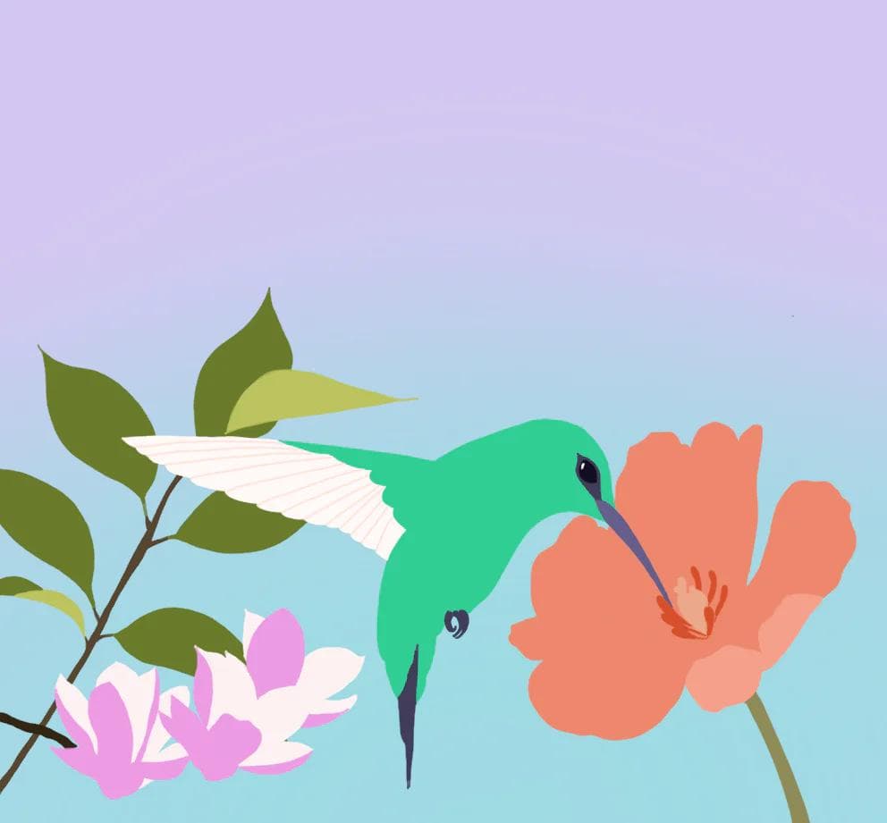 Image of Las Marias - Colombia